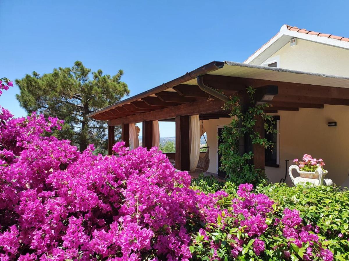 Villa Le Agavi & Spa Scarlino Exterior foto